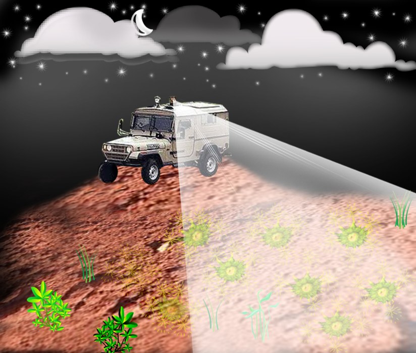 Projekt laserowego systemu detekcji min w oparciu o genetycznie zmodyfikowane bakterie /Hebrew University /materiały prasowe