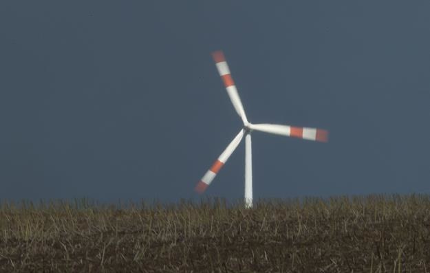 Projekt Prawa i Sprawiedliwości o wiatrakach jest kuriozalny. Fot. Sean Gallup /Getty Images/Flash Press Media