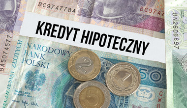 Projekt programu odroczeń spłat kredytów gotowy. ZBP sfinalizował prace