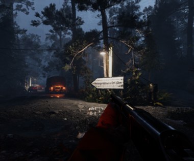 Projekt Z. ​Nadchodzi nowy, survivalowy FPS z zombiakami w roli głównej