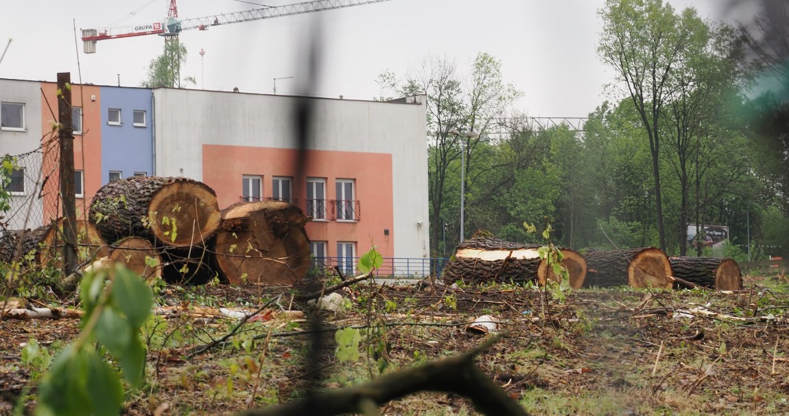 Prokuratura interweniuje ws. wycinki ponad 1200 drzew. Na działce miałby powstać m.in. dyskont. Źródło: Facebook @Stowarzyszenie Nasz Park /