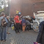 Prokuratura umorzyła śledztwo ws. koni dorożkarskich w Krakowie 