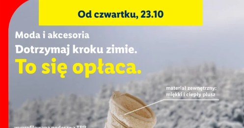 Promocja, której szkoda przegapić /Lidl /INTERIA.PL