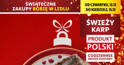 Promocja na karpia w Lidlu! /Lidl /INTERIA.PL