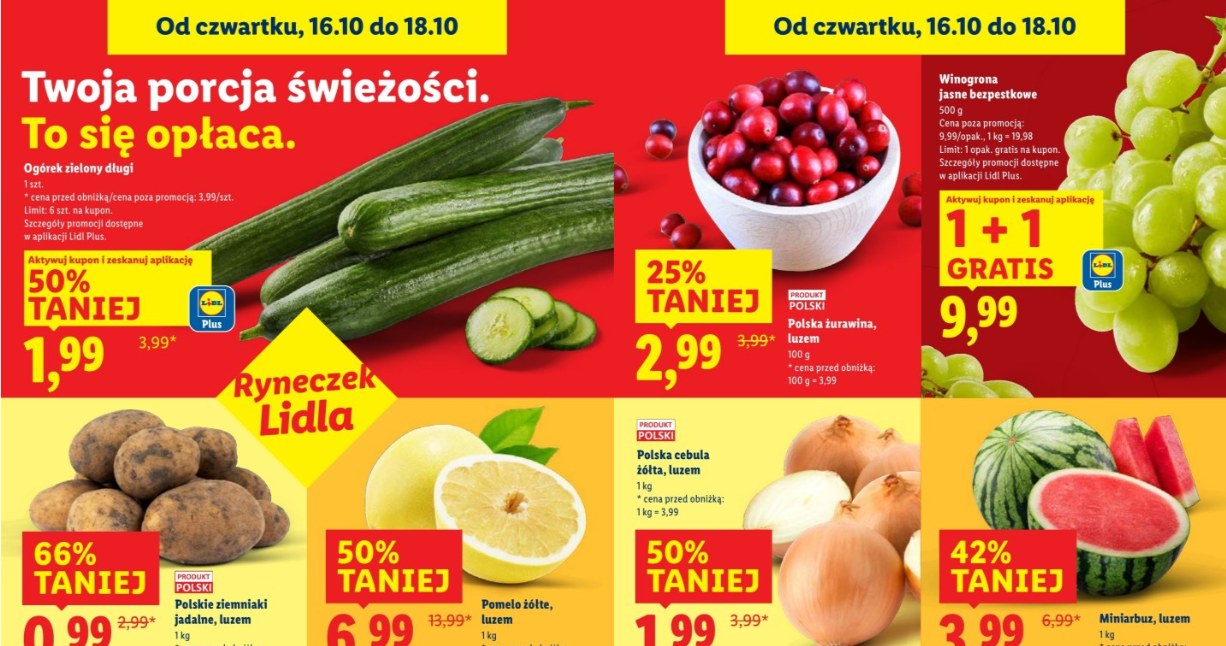 Promocja na owoce i warzywa w Lidlu /Lidl /INTERIA.PL
