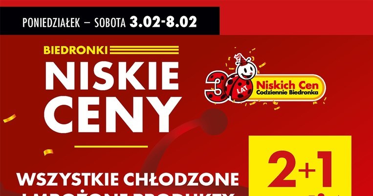 Promocja na wszystkie chłodzone i mrożone produkty Nasze Smaki /Biedronka /INTERIA.PL