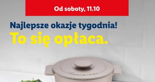 Promocja w Lidlu – dwa rozmiary, każdy 100 zł taniej /Lidl /INTERIA.PL