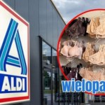 XXL Promocja XXL w Aldi: bielizna w pakietach nawet za 3 zł