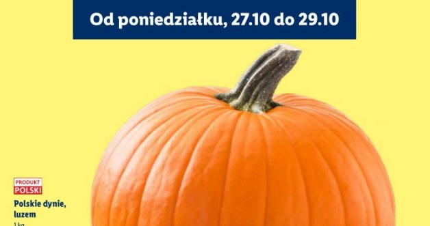 Promocje dyniowe w Lidlu /Lidl /INTERIA.PL