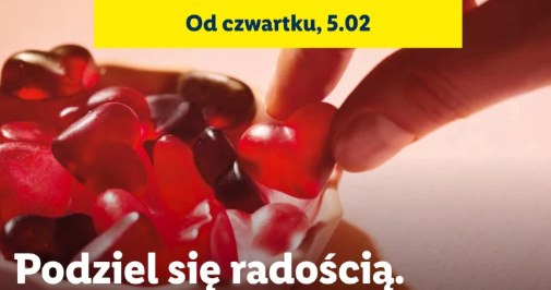 Promocje na bombonierki Ferrero w Lidlu /Lidl /INTERIA.PL