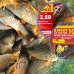 Promocje na karpia. Blisko 50 zł za kilogram w jednej z sieci, w dyskontach taniej