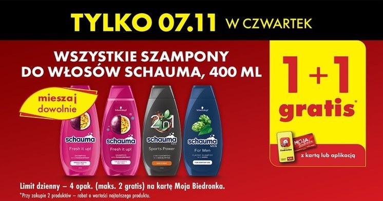 Promocje w Biedronce na 7 listopada - Szampony Schauma /Biedronka /INTERIA.PL