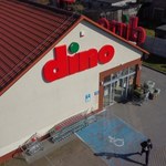 Promocje w Dino kuszą ogrodników! Zobacz, co warto kupić