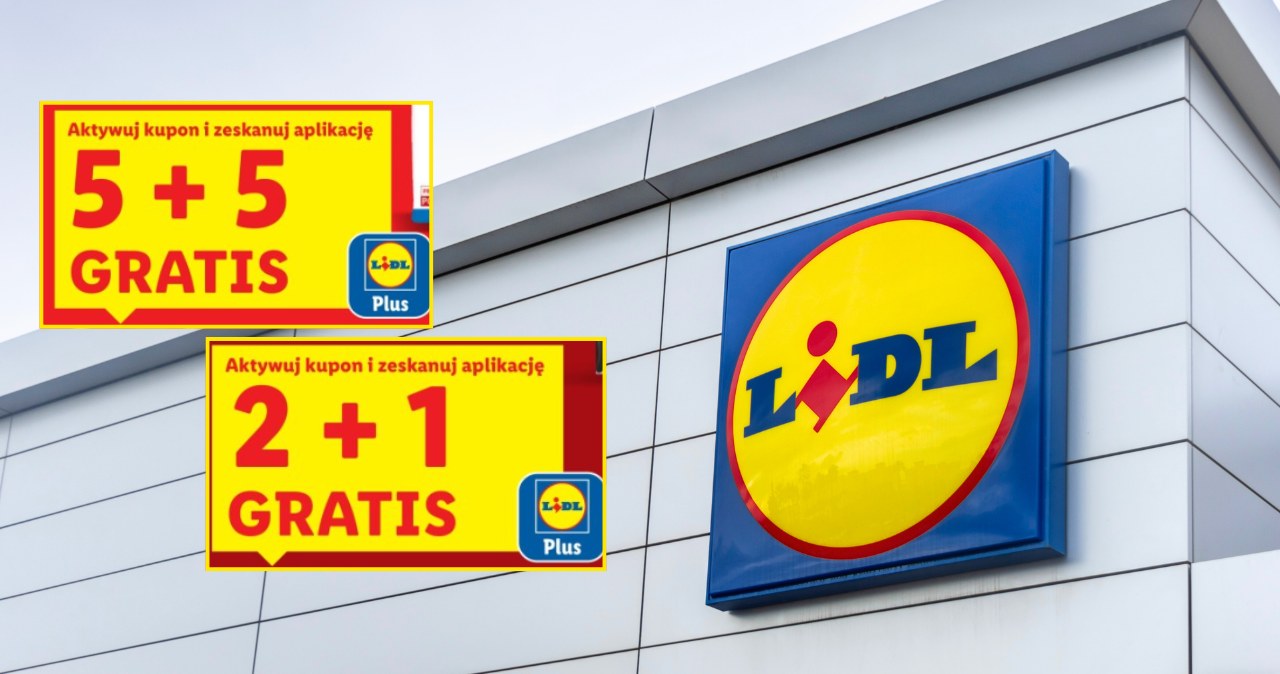 Promocji i gratisy w Lidlu od poniedziałku. Sprawdź, co dostaniesz bez dopłaty /Lidl /INTERIA.PL