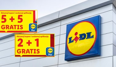 Promocji i gratisy w Lidlu od poniedziałku. Sprawdź, co dostaniesz bez dopłaty