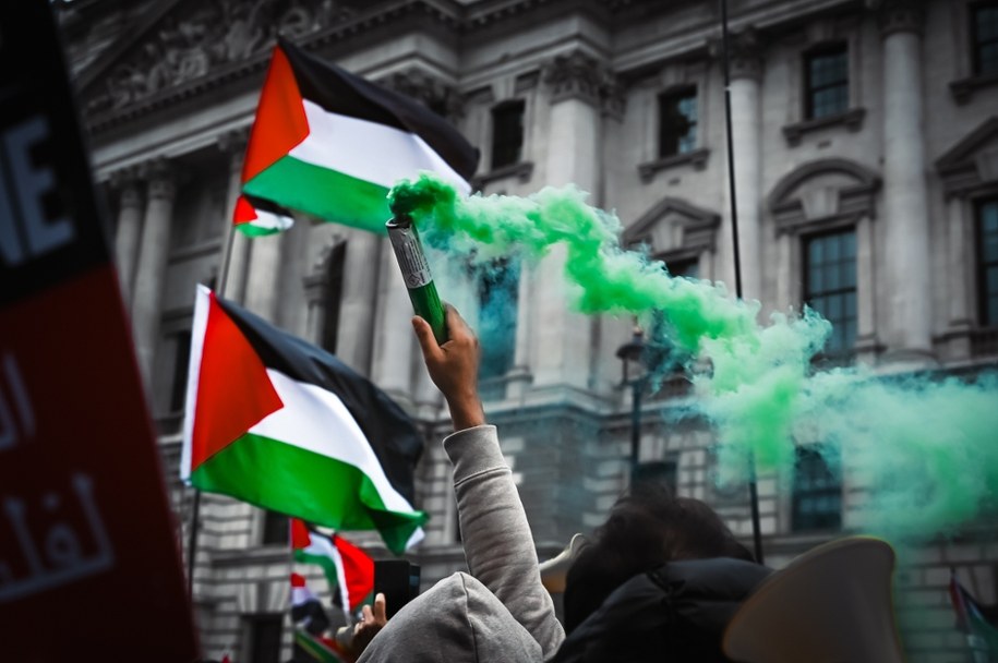 Propalestyńska demonstracja /Shutterstock