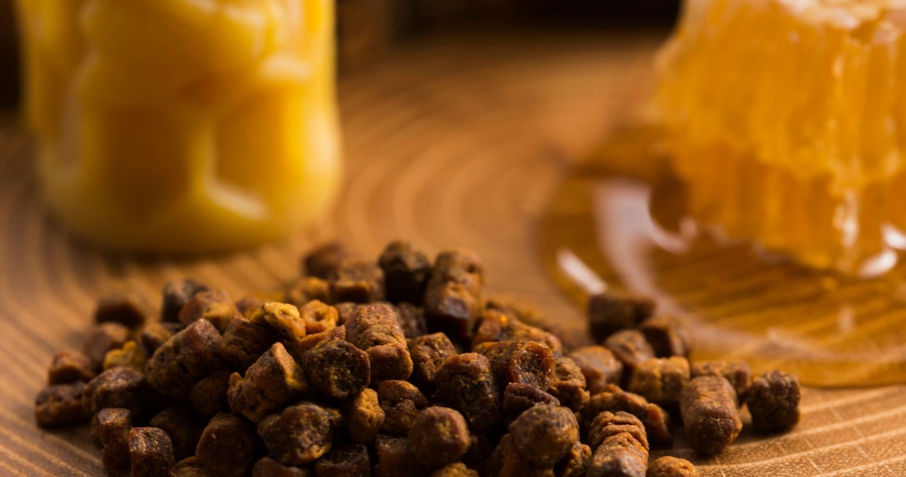 Propolis to substancja produkowana przez pszczoły o silnym działaniu prozdrowotnym /joannawnuk /Canva Pro
