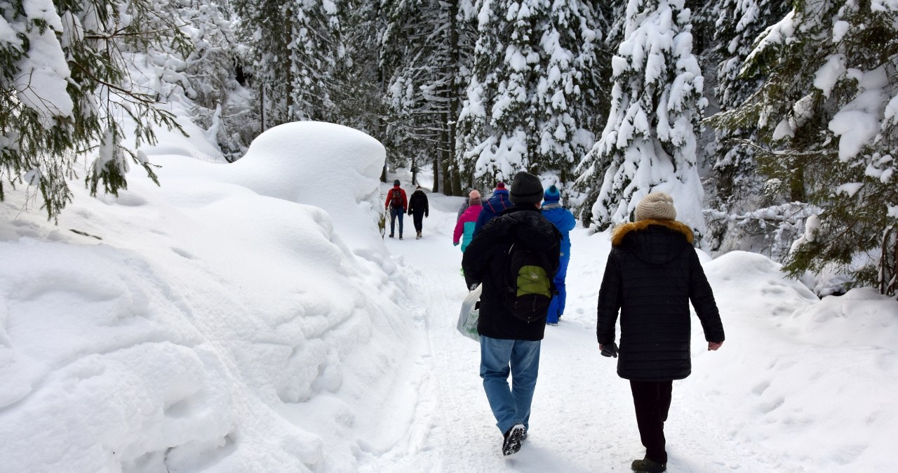 Propozycja zimowej wycieczki w góry. Szlak na Malinowską Skałę z Przełęczy Salmopolskiej to częsty wybór wśród turystów /East News