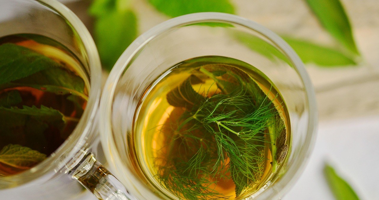 Prosty napar z estragonu pomaga trawieniu po obiedzie i ułatwia spokojny relaks wieczorem /congerdesign /Pixabay.com