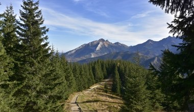 Prosty szlak na jesienną wycieczkę w Tatry. Poradzą sobie nawet dzieci 