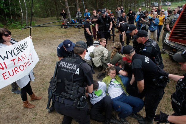 Protest Greenpeace i Fundacji Dzika Polska 8 czerwca /Artur Reszko /PAP