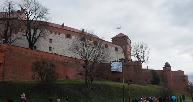 Protest na Wawelu /