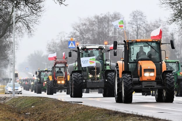 Protest polskich rolników 24 stycznia tego roku /Przemysław Piątkowski /PAP