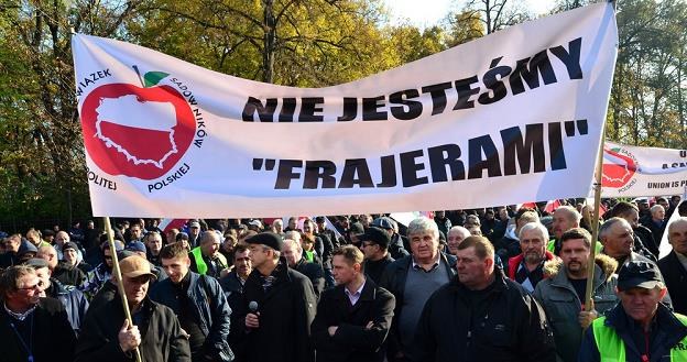 Protest polskich sadowników 4 listopada 2014 r. Fot. Mariusz Gaczyński /Agencja SE/East News