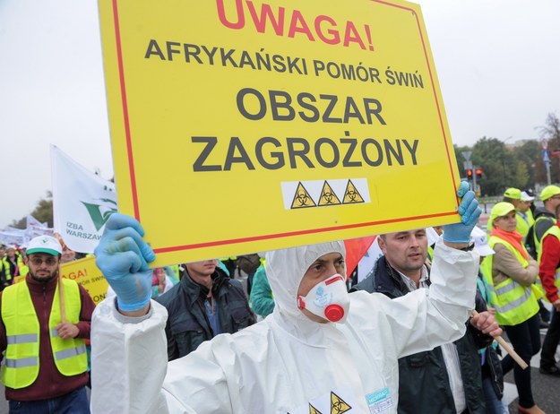 Protest pracowników inspekcji weterynaryjnej w Warszawie /Marcin Obara /PAP