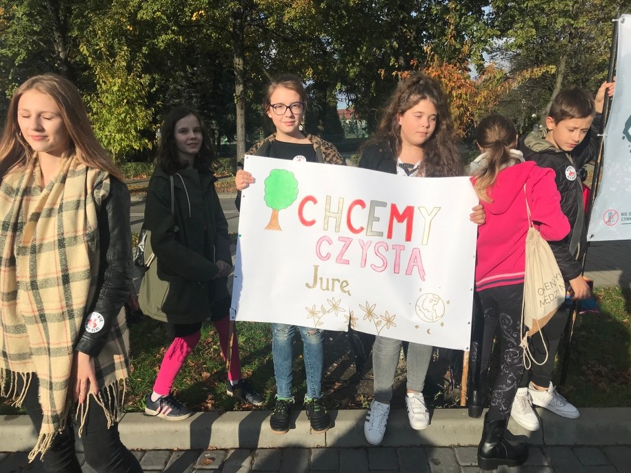 Protest przeciw budowie kopalni /Marcin Buczek /RMF FM