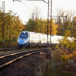 Protest przeciw nowej linii Pendolino k. Warszawy. "Stop kolei, która niszczy naszą przyrodę"