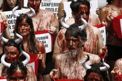 Protest przeciwko słynnym hiszpańskim gonitwom byków