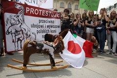 Protest przeciwko sprzedaży polskich koni na rzeź 