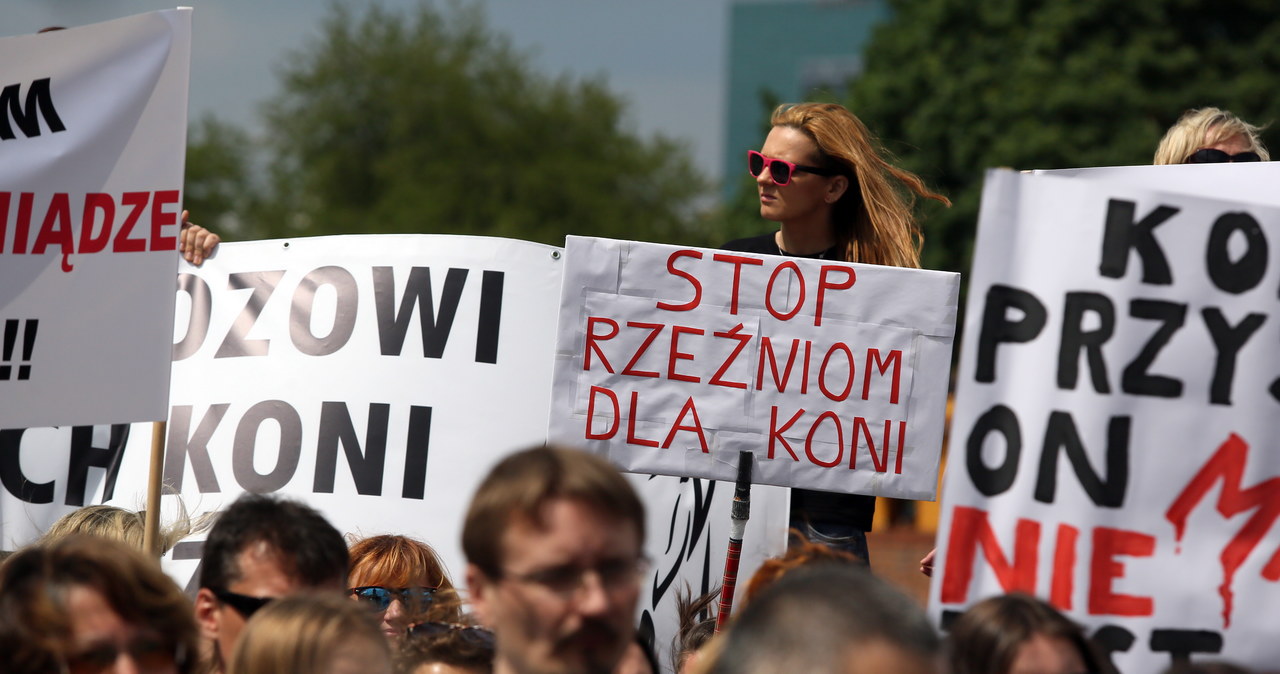 Protest przeciwko sprzedaży polskich koni na rzeź 