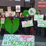 Protest przed siedzibą RDOŚ w Krakowie. Złożono skargę na dyrektora instytucji