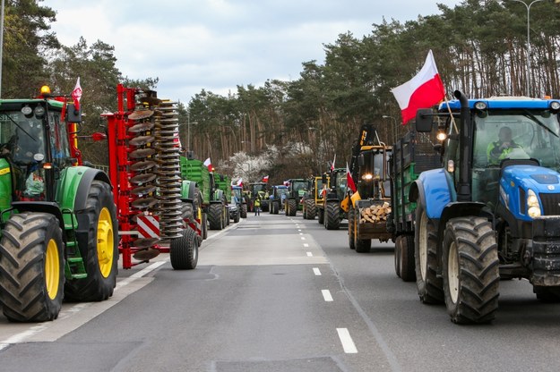 Protest rolników na polsko-niemieckiej granicy w Świecku / 	Lech Muszyński    /PAP