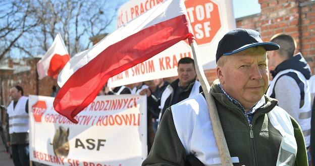 Protest rolników pod siedzibą PiS w Warszawie /PAP