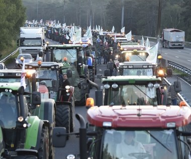 Protest rolników. Traktory jadą na Paryż