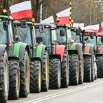 Protest rolników w całym kraju. Blokady granic, tysiąc traktorów w Poznaniu