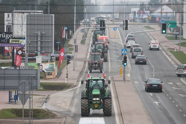 Protest rolników w Kałuszynie / 	Leszek Szymański    /PAP