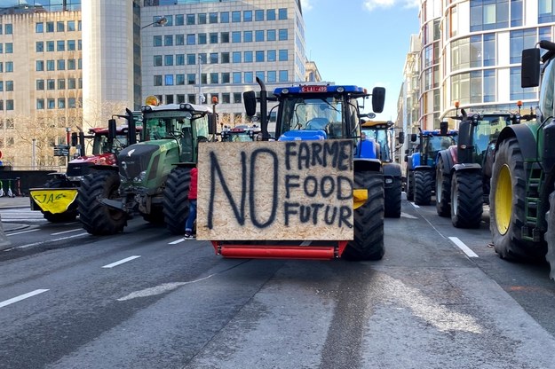 Protest rolników w rejonie Parlamentu Europejskiego - 1 lutego 2024 r. /Shutterstock