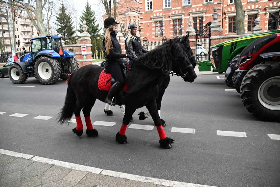 Protest rolników w Szczecinie /Marcin Bielecki /PAP