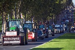 Protest rolników we Francji. 2 tysiące traktorów dojechało do Paryża