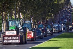 Protest rolników we Francji. 2 tysiące traktorów dojechało do Paryża