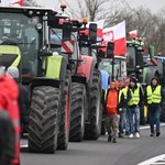 Protest rolników. "Żywność spoza UE jest nafaszerowana środkami chemicznymi"