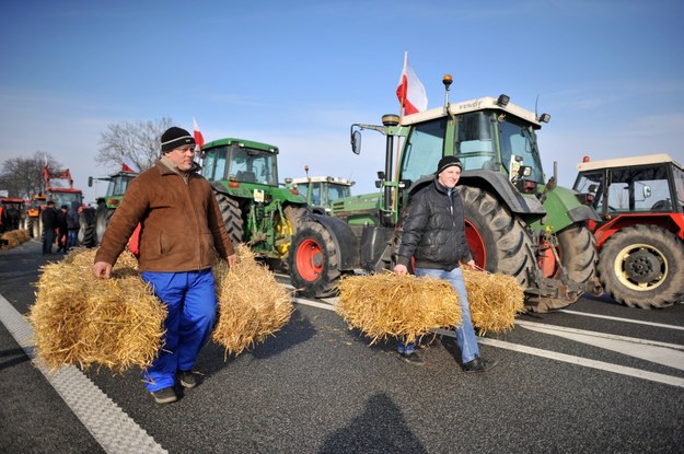 Protest rolników /Przemysław Piątkowski /PAP/EPA