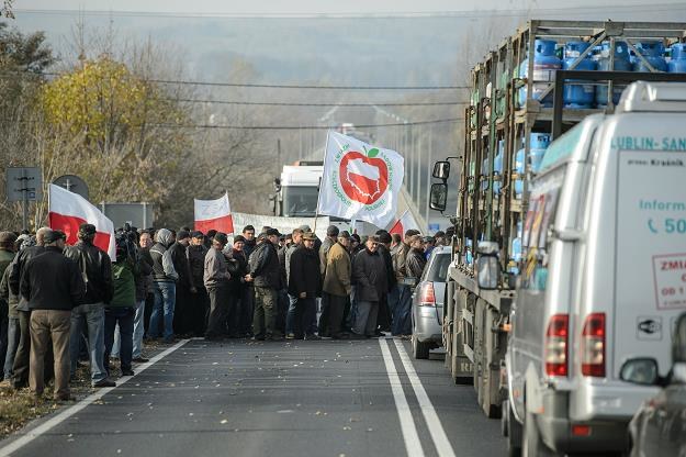 Protest sadowników w Annopolu na Lubelszczyźnie /PAP