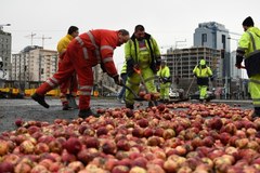 Protest sadowników w Warszawie. Rozsypali jabłka i podpalili opony