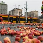 Protest sadowników w Warszawie. Zatrzymano osiem osób
