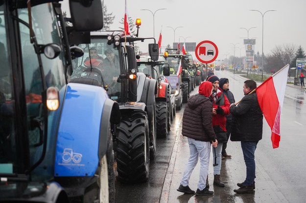 Protest środowisk rolniczych w Chełmie /Karol Zienkiewicz /PAP
